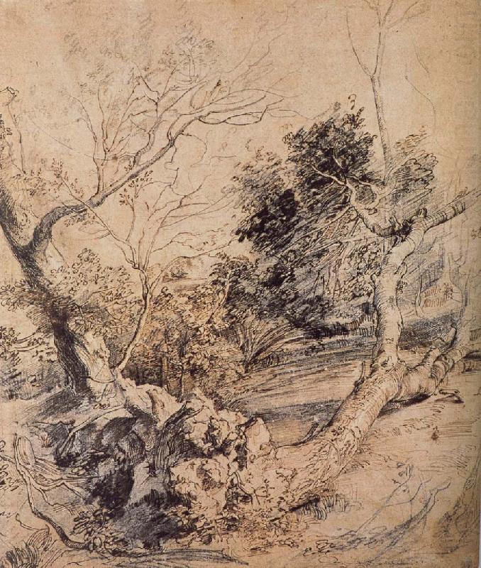 Forest landscape, Peter Paul Rubens